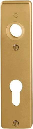 Eine goldfarbene Skateboard-Wandhalterung mit abgerundeter Spitze und einem kreisförmigen Loch in der Nähe des oberen Endes.