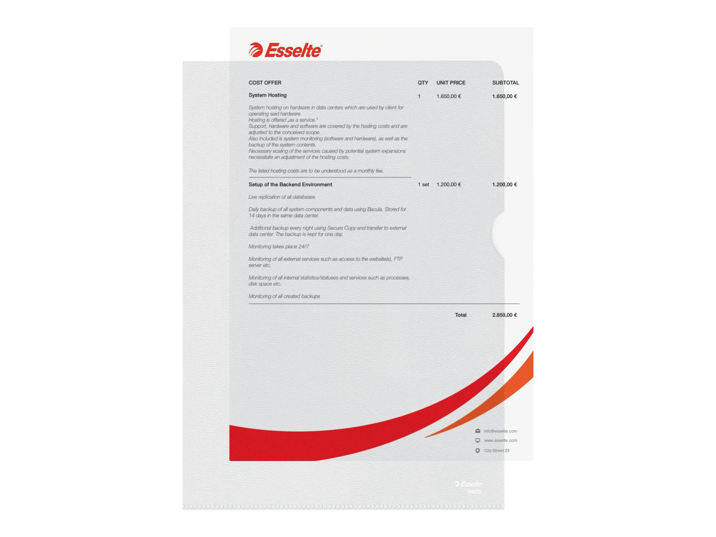 Esselte Leitz Standard Plus - L-förmiger Ordner - für A4 - Kapazität: 40 Blätter - durchsichtig (Packung mit 100)