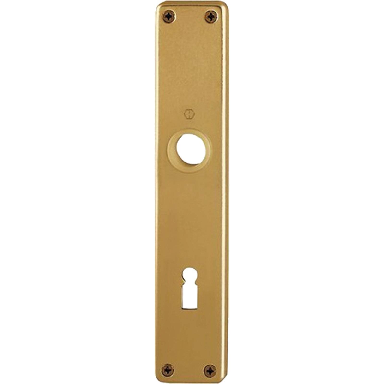 Eine rechteckige Messingabdeckplatte mit einem kreisförmigen Loch für einen Türknauf und einem Schlüsselloch darunter, die zur Installation an einer Tür vorgesehen ist.