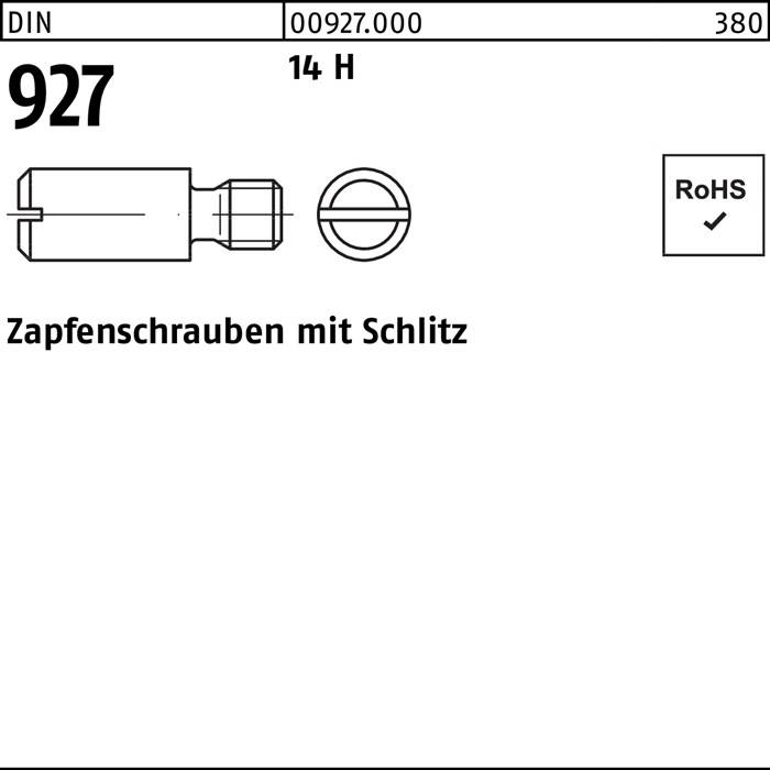 Zapfenschraube DIN 927 Schlitz M5x 6 14 H 100 Stück