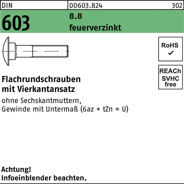 603 Flachrundschrauben mit Vierkantschrauben' dargestellt mit Sechskantschraube Illustration. Text enthält 'RoHS', 'SVHC-frei' und 'Achtung' Warnung.