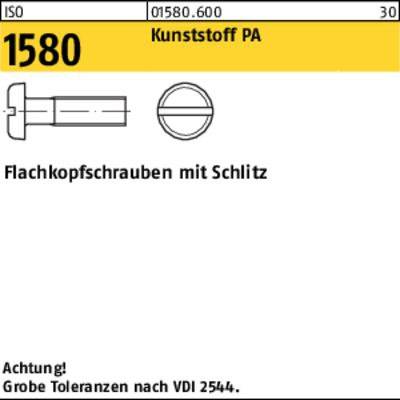 Flachkopfschraube ISO 1580 Schlitz M5x 20 Polyamid 200 Stück