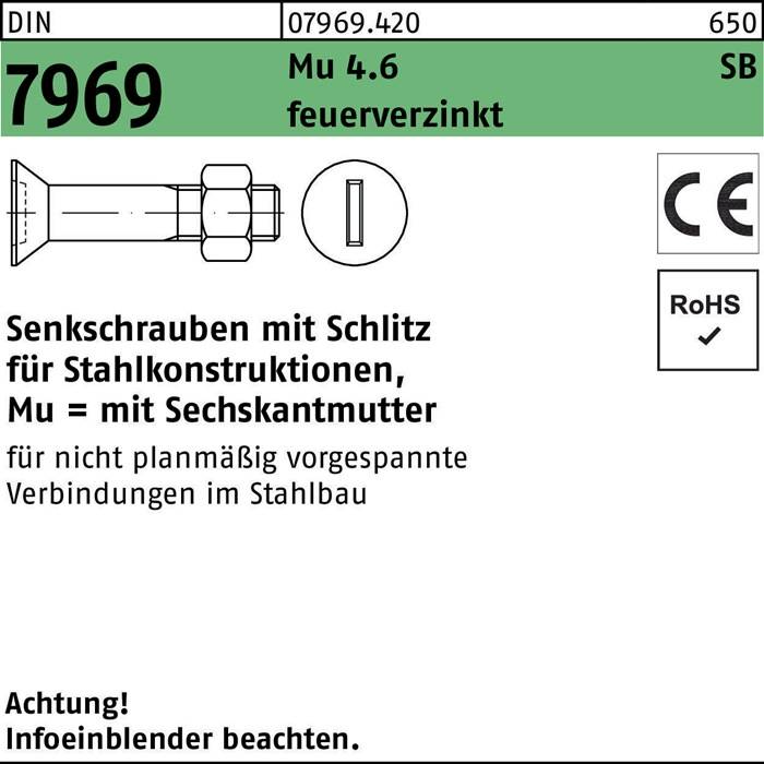 Senkkopfschrauben mit Schlitzen für Stahlkonstruktionen, nicht mit Sechskantmutter verwendet.' CE, RoHS-Symbole, Sicherheitswarnung.
