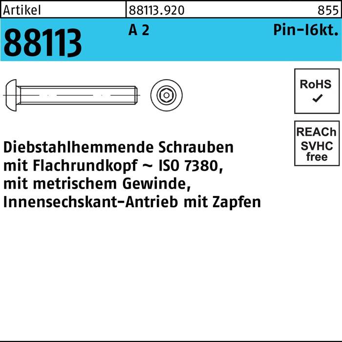 Schraube R 88113 diebstahlh. Innen-6kt Zapfen M6x 30 A 2 100 Stück