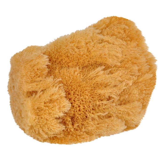 Natur-Schwamm - Durchmesser 10 bis 15 cm - Preis per Stück