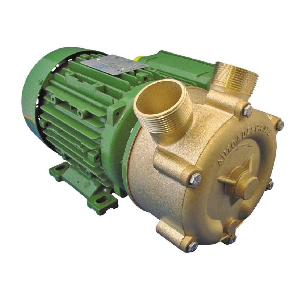 Seitenkanalkreiselpumpe EPm 220/20 - 230 Volt - 29 l/min - 1,74 m³/h - Bronze-Gehäuse und Laufrad