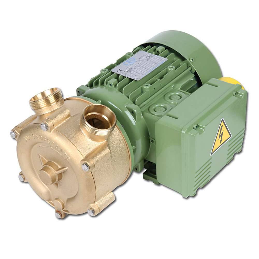 Seitenkanalkreiselpumpe - 400 V - 120 l/min - Drehstrommotor