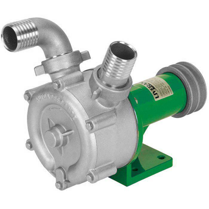 Eine Metallpumpe mit zwei Gewinde-Schlauchverbindungen und einem grünen Motor, der auf einer Basis montiert ist.