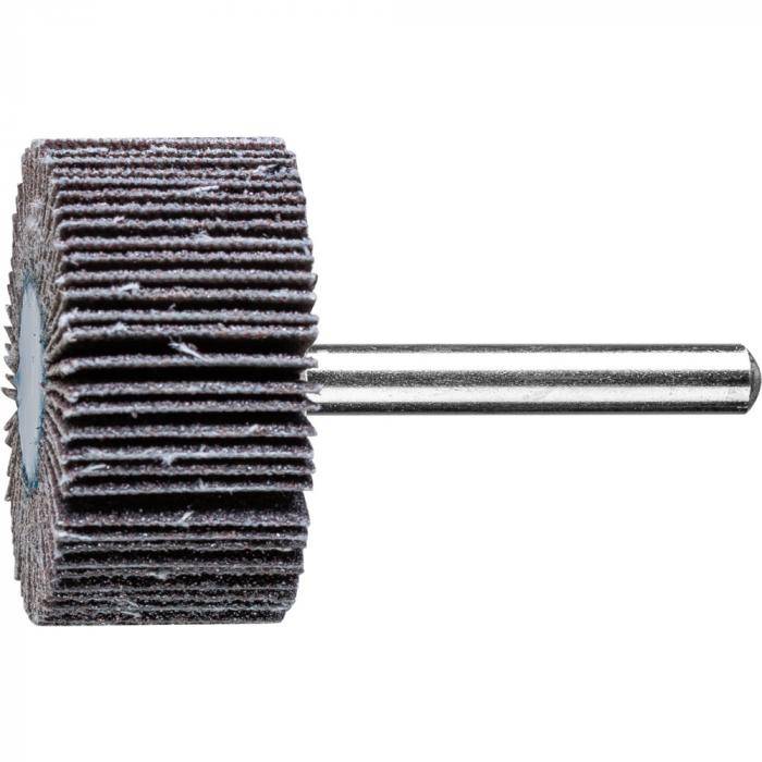 PFERD Fächerschleifer F 4020/6 SiC 80 - Siliciumcarbid SiC - Außen-ø 40 mm - Schaft-ø 6 mm - Korngröße 80 - VE 10 Stück - Preis per VE