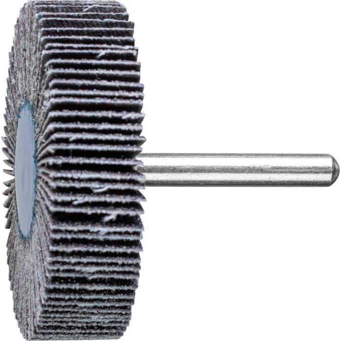 PFERD Fächerschleifer F 6015/6 SiC 60 - Siliciumcarbid SiC - Außen-ø 60 mm - Schaft-ø 6 mm - Korngröße 60 - VE 10 Stück - Preis per VE