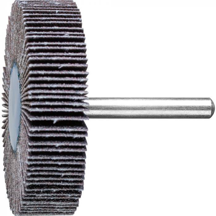 PFERD Fächerschleifer F 6015/6 SiC 80 - Siliciumcarbid SiC - Außen-ø 60 mm - Schaft-ø 6 mm - Korngröße 80 - VE 10 Stück - Preis per VE