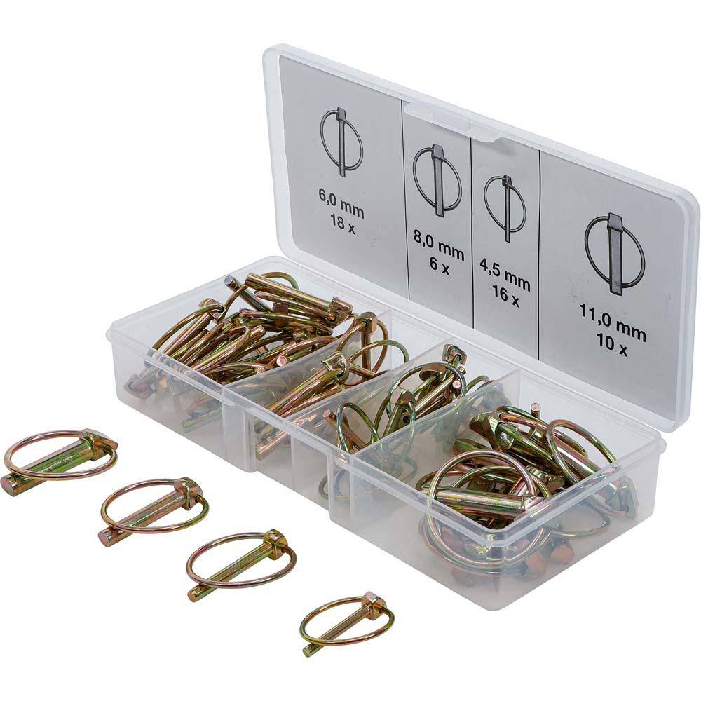 Klappsplinten-Sortiment - 50-teilig