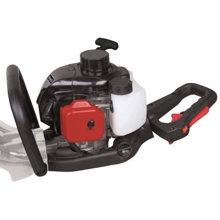 25,4cm³ thermische Hedge