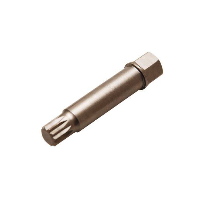 Bit - Innenvielzahn - mit Kugel - Größe M50 x 64 mm - Antrieb 12 mm Außen-6-Kant