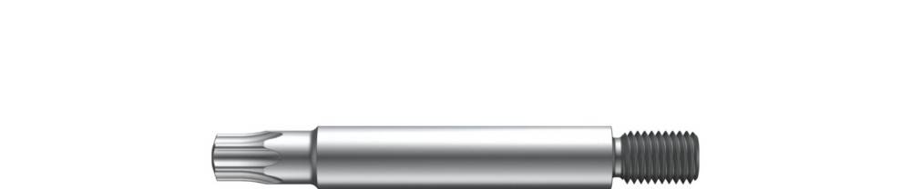 Eine Metallschraube im Torx-Stil mit Sicherheitsausführung und gewindeltem Ende, horizontal auf weißem Hintergrund dargestellt.