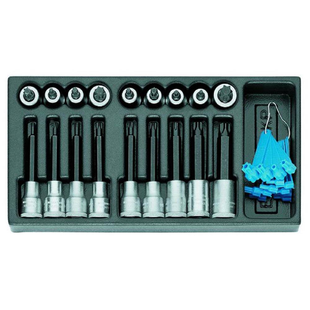 Satz Schraubendrehereinsätze 1/2 - in 1/3 ES-Modul - 19 teilig