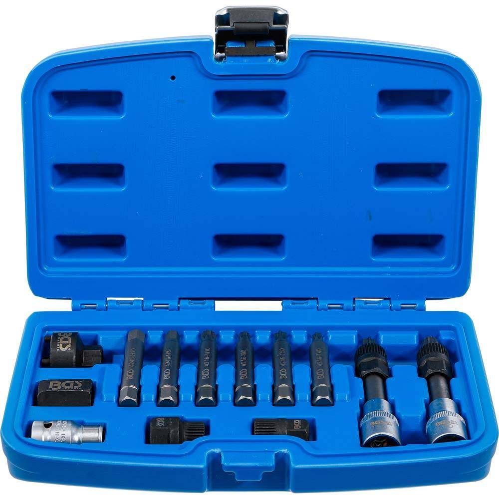 Lichtmaschinen-Bitsatz 1/2" Antrieb - 12-teilig inklusive Adapter