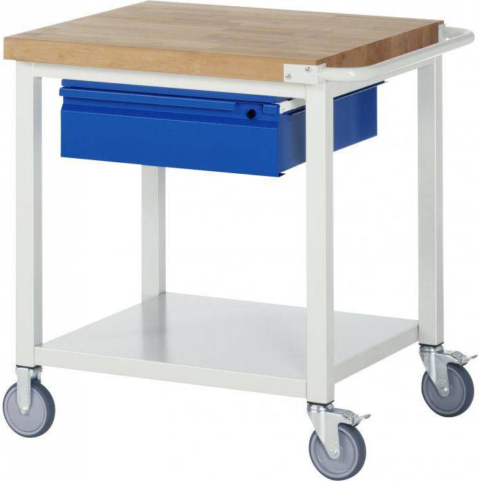 Werkbank B8 - fahrbar - max. 450 kg - Breite 0,75 m - mit Ablageboden & Schublade