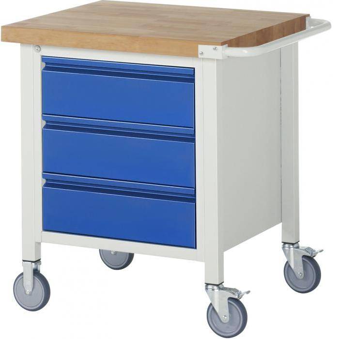 Werkbank B8 - fahrbar - max. 450 kg - Breite 0,75 m - mit Ablageboden/ Unterbau