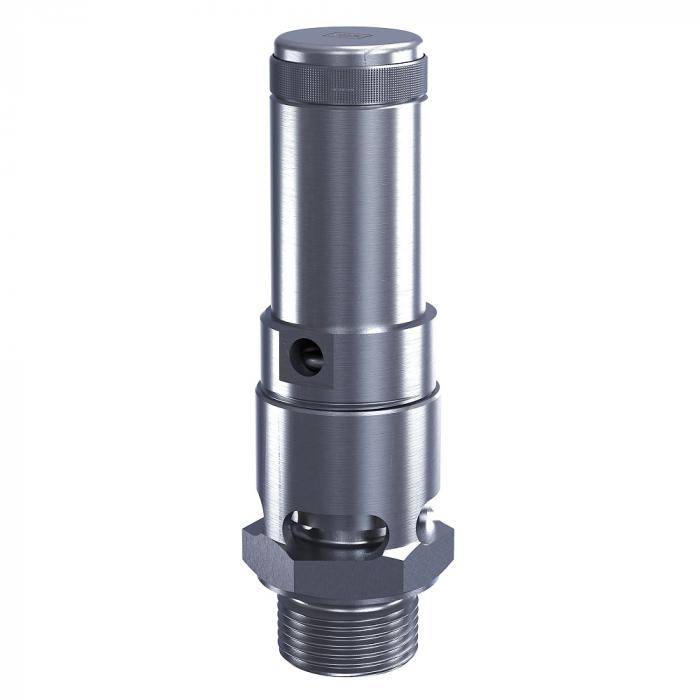 Sicherheitsventil Baureihe 410 - Edelstahl - DN 15 - Eintritt 1/2 " (15) - Dichtung PTFE - freiablassend - mit Gewindeanschluss