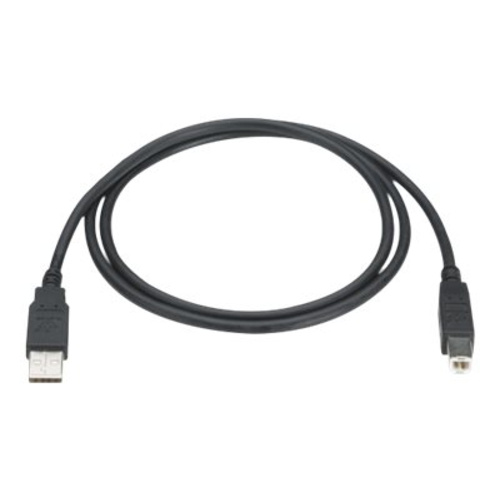 Black Box - USB-Kabel - USB (M) bis USB Typ B (M)