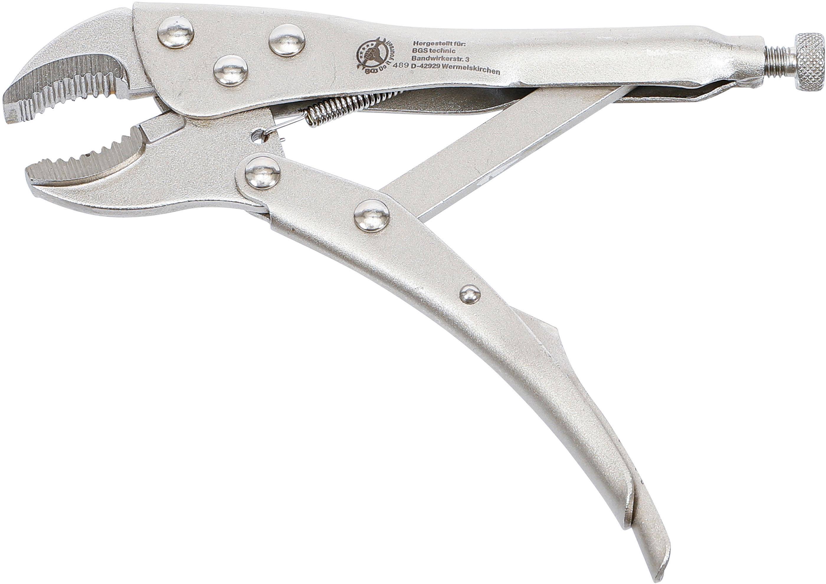BGS Do It Yourself Gripzange | 175 mm