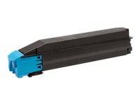 Blauer und schwarzer Druckertonerkassette auf weißem Hintergrund dargestellt.
