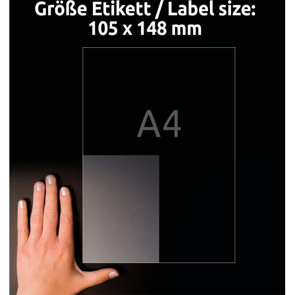 Etiketten antimikrobiell 105x148mm permanent transparent VE=10 Bogen/40 Stück