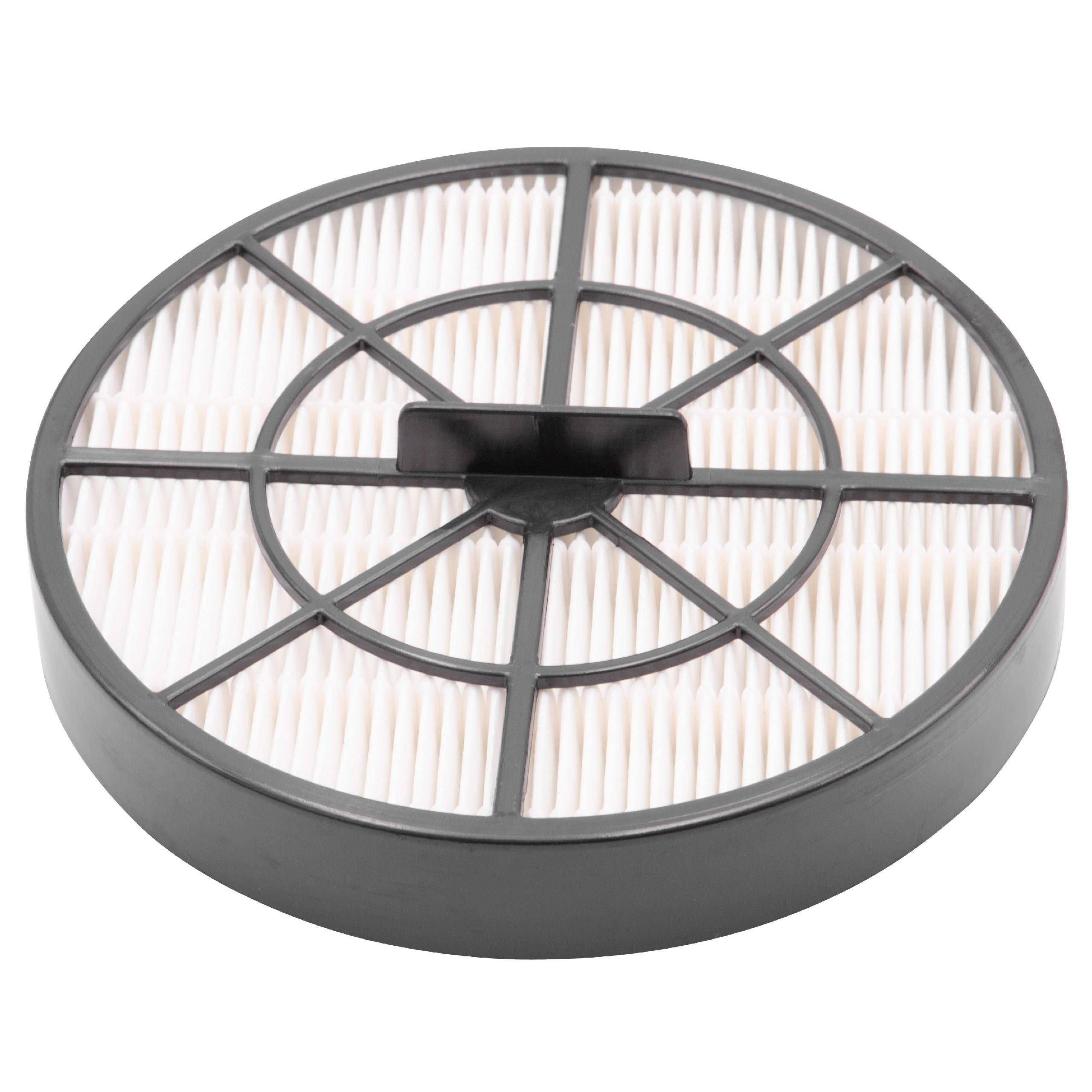 Staubsaugerfilter für Staubsauger wie Dirt Devil 440001035, F49Grundig 759551642900, 759551750400 , Abluft-Filter, Kunst