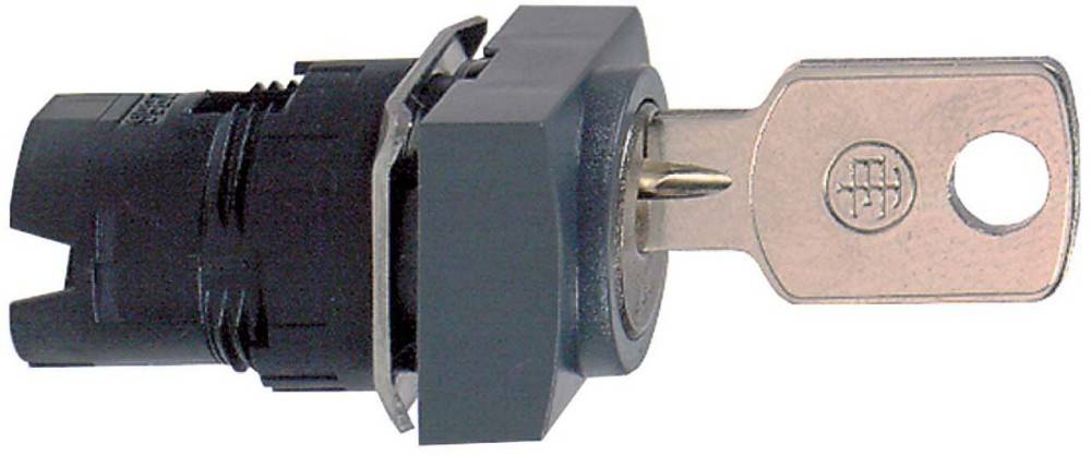 Schneider Electric Frontelement, rechteckig ZB6DGC