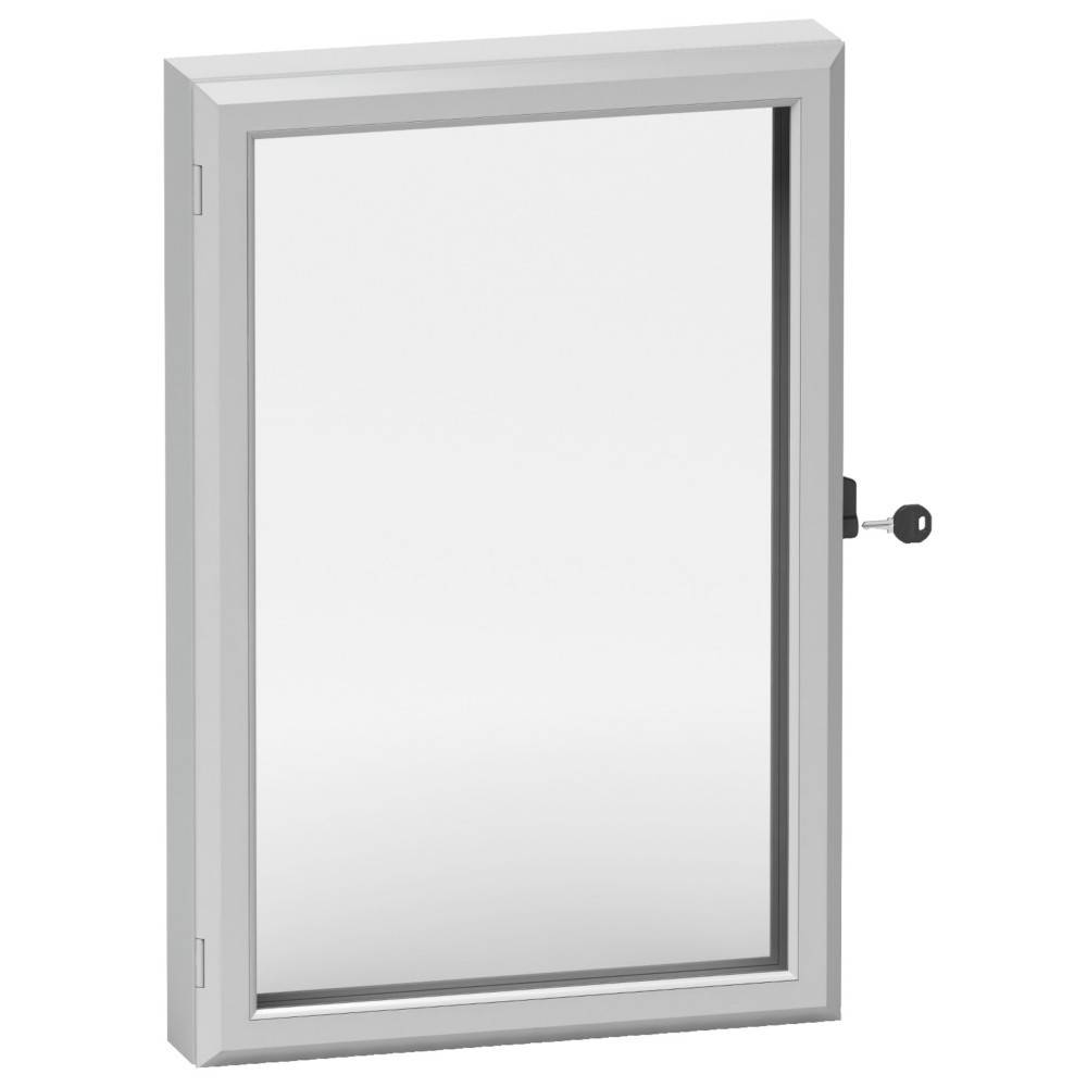 Schneider Electric Steuerfenster IP 55 NSYCW33