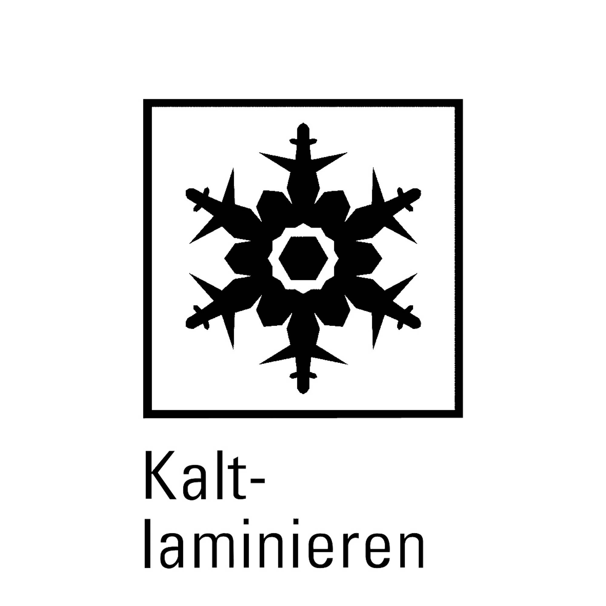 Fellowes Laminiergerät Calibre 5740101 DIN A3 anthrazit