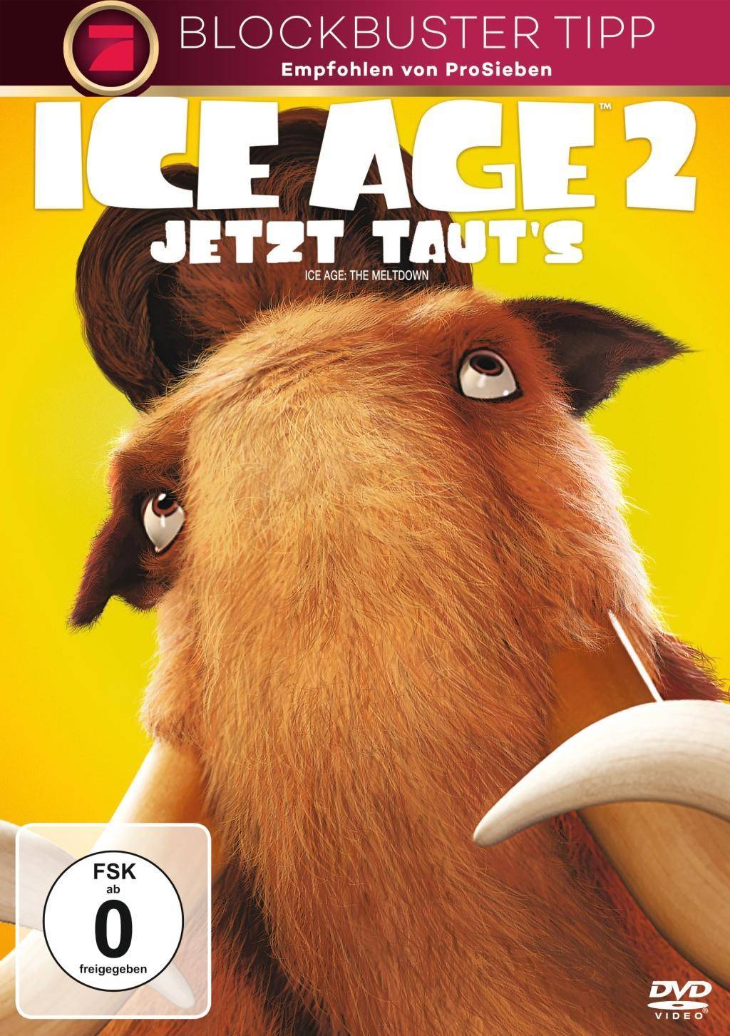 Ice Age 2 - Jetzt taut's, 1 DVD