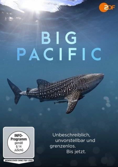 Big Pacific USA