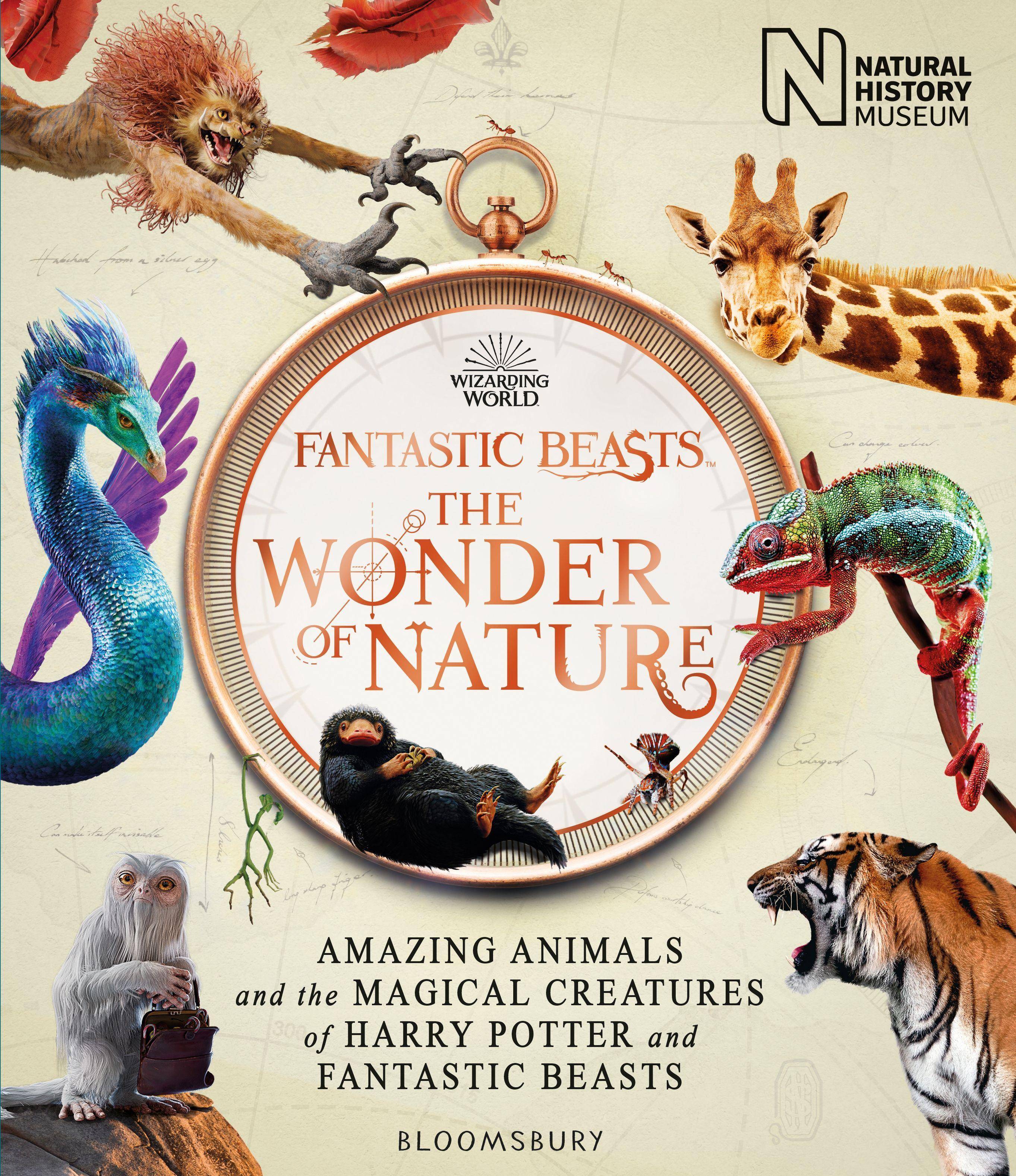 Fantastic Beasts: The Wonder of Nature Amazing Animals and the Magical Creatures of Harry Potter and Fantastic Beasts