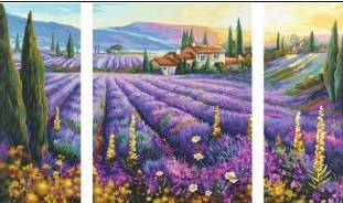 Schipper 609260604 - Lavendelfelder, MNZ, Malen nach Zahlen Meisterklasse Triptychon - Mit Acrylfarben auf Wasserbasis und Pinsel, Bildformat: