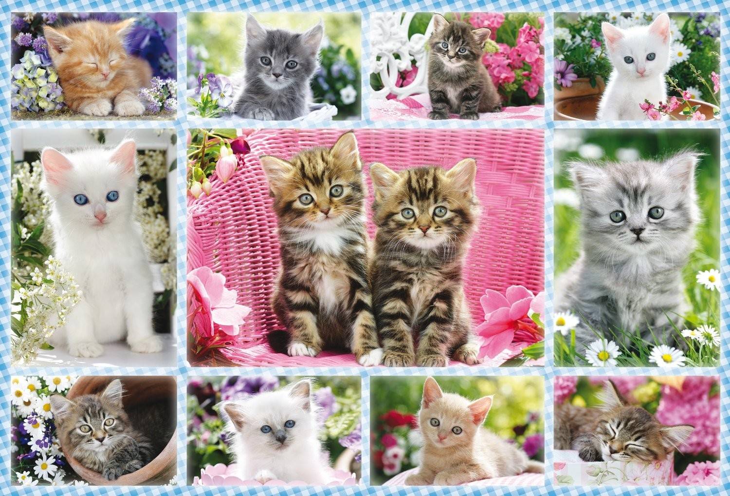 Schmidt 56135 - Schmidt, Katzenbabys Puzzle, 100 Teile, Maße: 36 x 24,5 cm