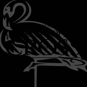 Cross, C: Definitive Christopher Cross