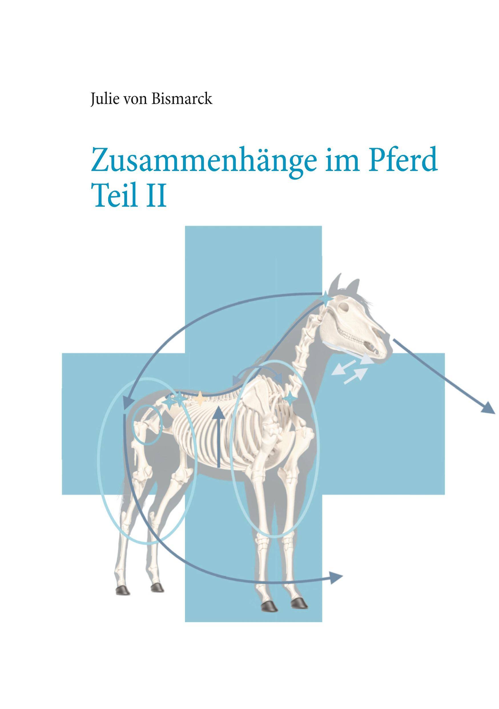 Zusammenhänge im Pferd Teil II Zusammenhänge im Pferd 2