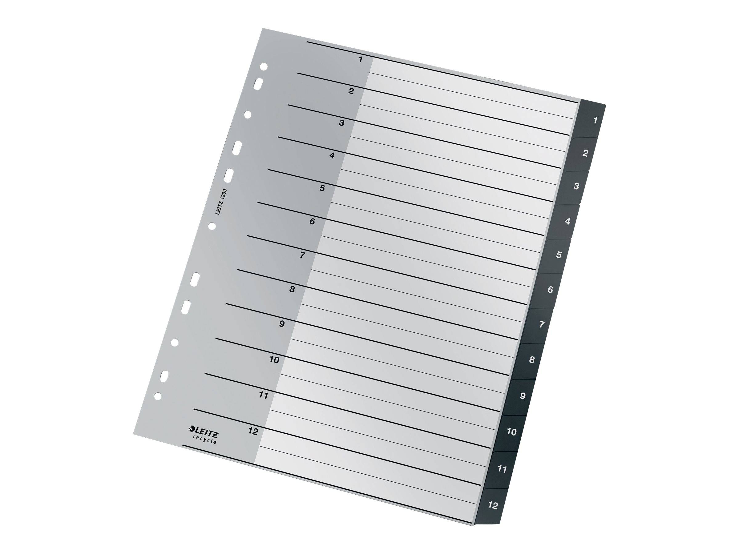 Esselte Leitz Recycle - Trennelement - 12 Teile - vorgedruckt: 1-12