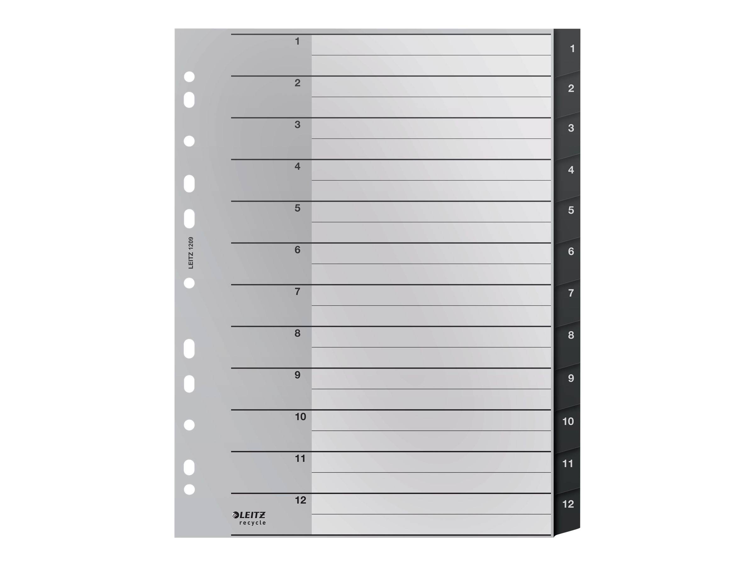 Esselte Leitz Recycle - Trennelement - 12 Teile - vorgedruckt: 1-12