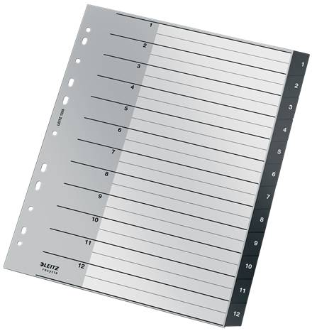 Esselte Leitz Recycle - Trennelement - 12 Teile - vorgedruckt: 1-12