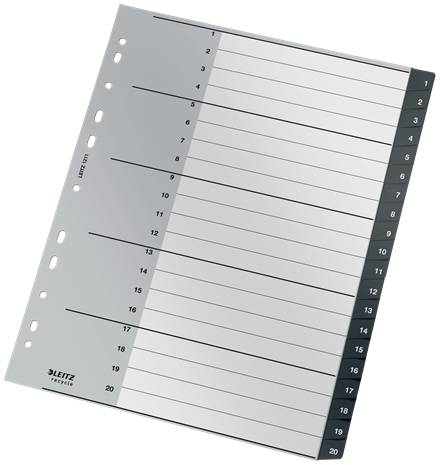 Esselte Leitz Recycle - Trennelement - 20 Teile - vorgedruckt: 1-20