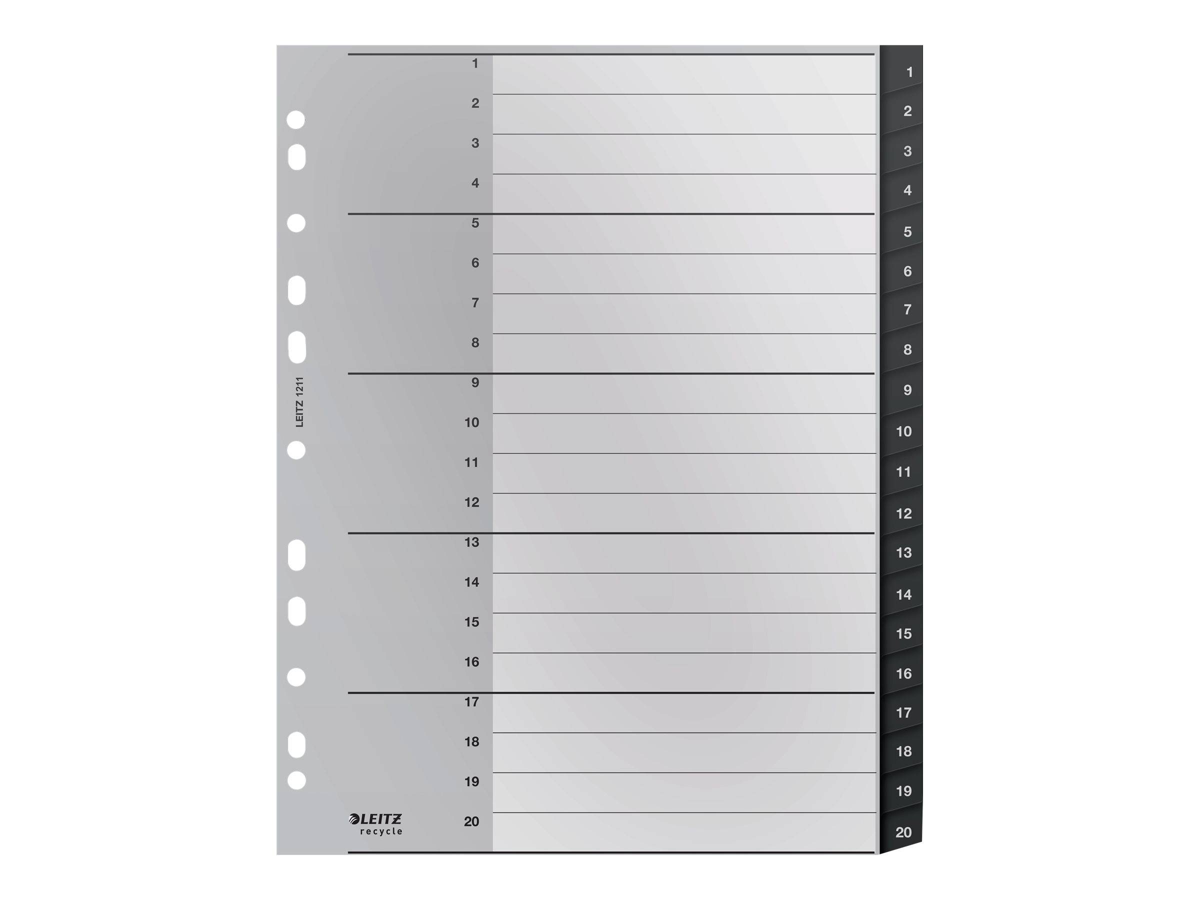 ESSELTE LEITZ - Leitz Recycle - Trennelement - 20 Teile - vorgedruckt: 1-20