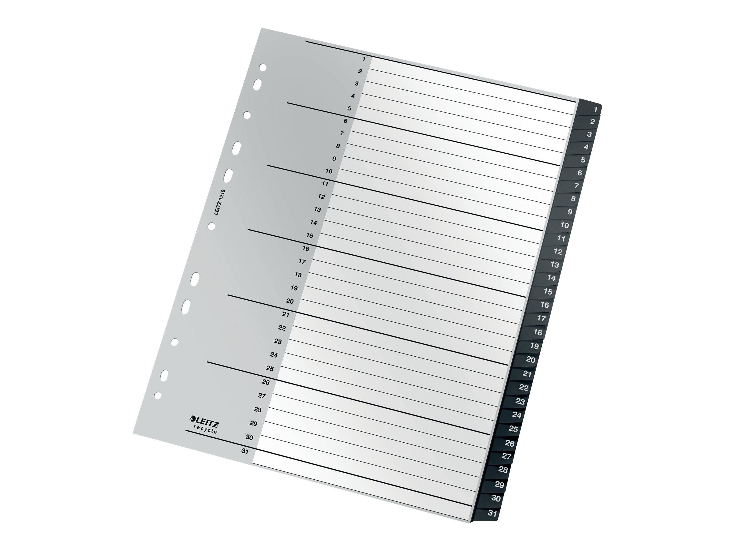 Esselte Leitz Recycle - Trennelement - 31 Teile - vorgedruckt: 1-31