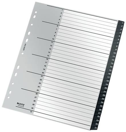 Esselte Leitz Recycle - Trennelement - 31 Teile - vorgedruckt: 1-31