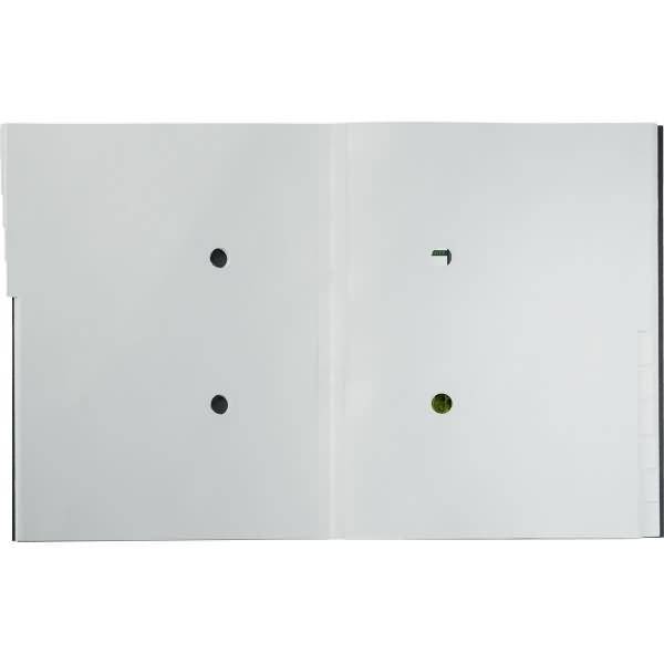 Ordnungsmappe Recycle A4 12 Fächer Karton schwarz