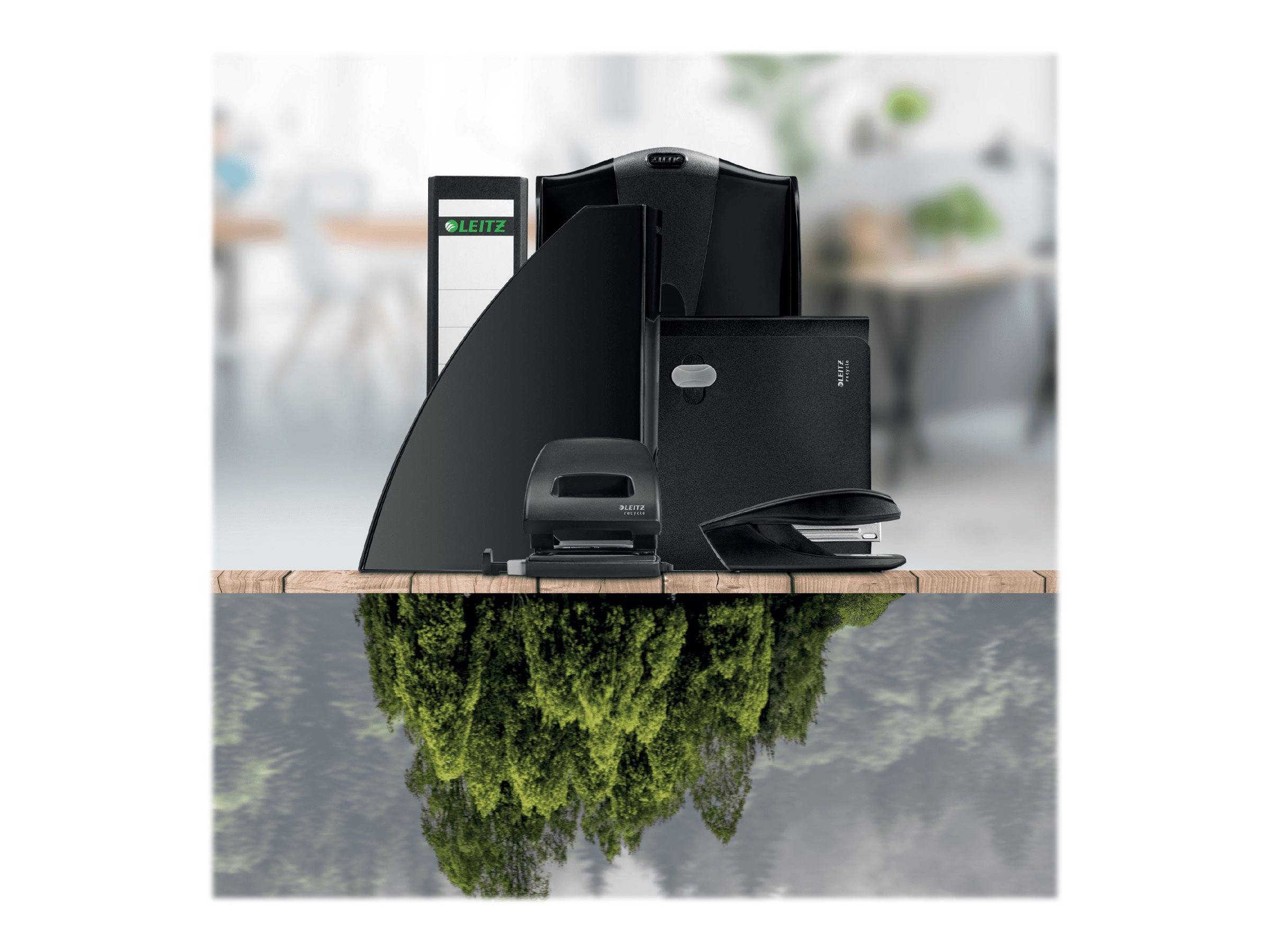 Esselte Leitz Schutzhülle - maxi - für A4 (210 x 297 mm) - klar (Packung mit 25)
