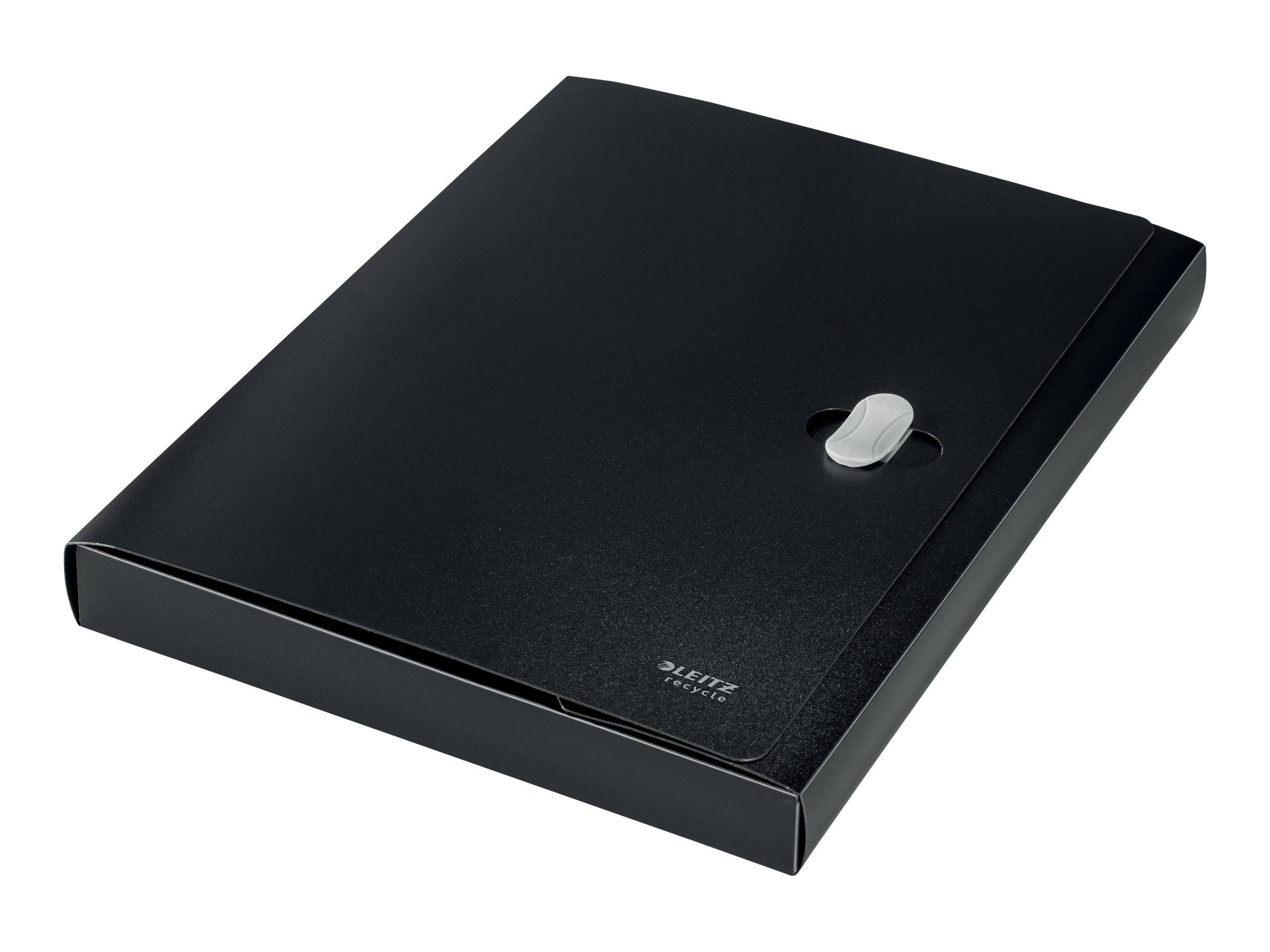 Esselte Leitz Aktenbox - Rückenbreite: 38 mm - für A4 (210 x 297 mm)