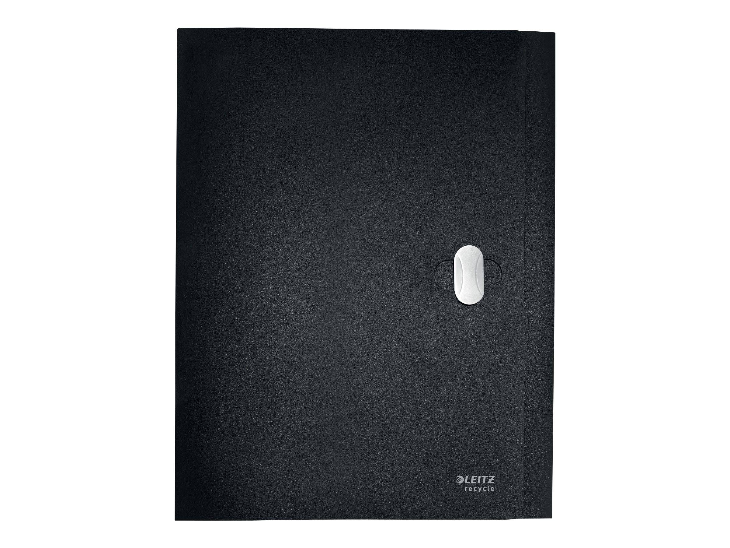 Esselte Leitz Aktenbox - Rückenbreite: 38 mm - für A4 (210 x 297 mm)